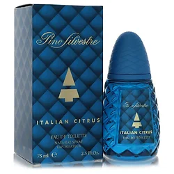 Pino Silvestre-569580