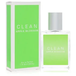 Clean-569711