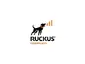 Ruckus-E25G-SFP28-SR