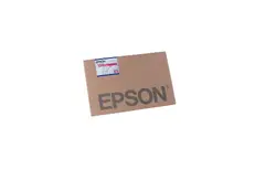 EPSON-S450432
