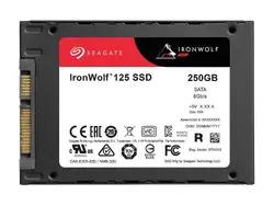 SEAGATE-ZA250NM10002