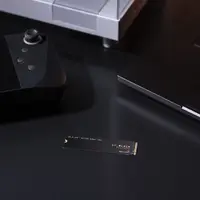 Western Digital-WDS500G4X0E