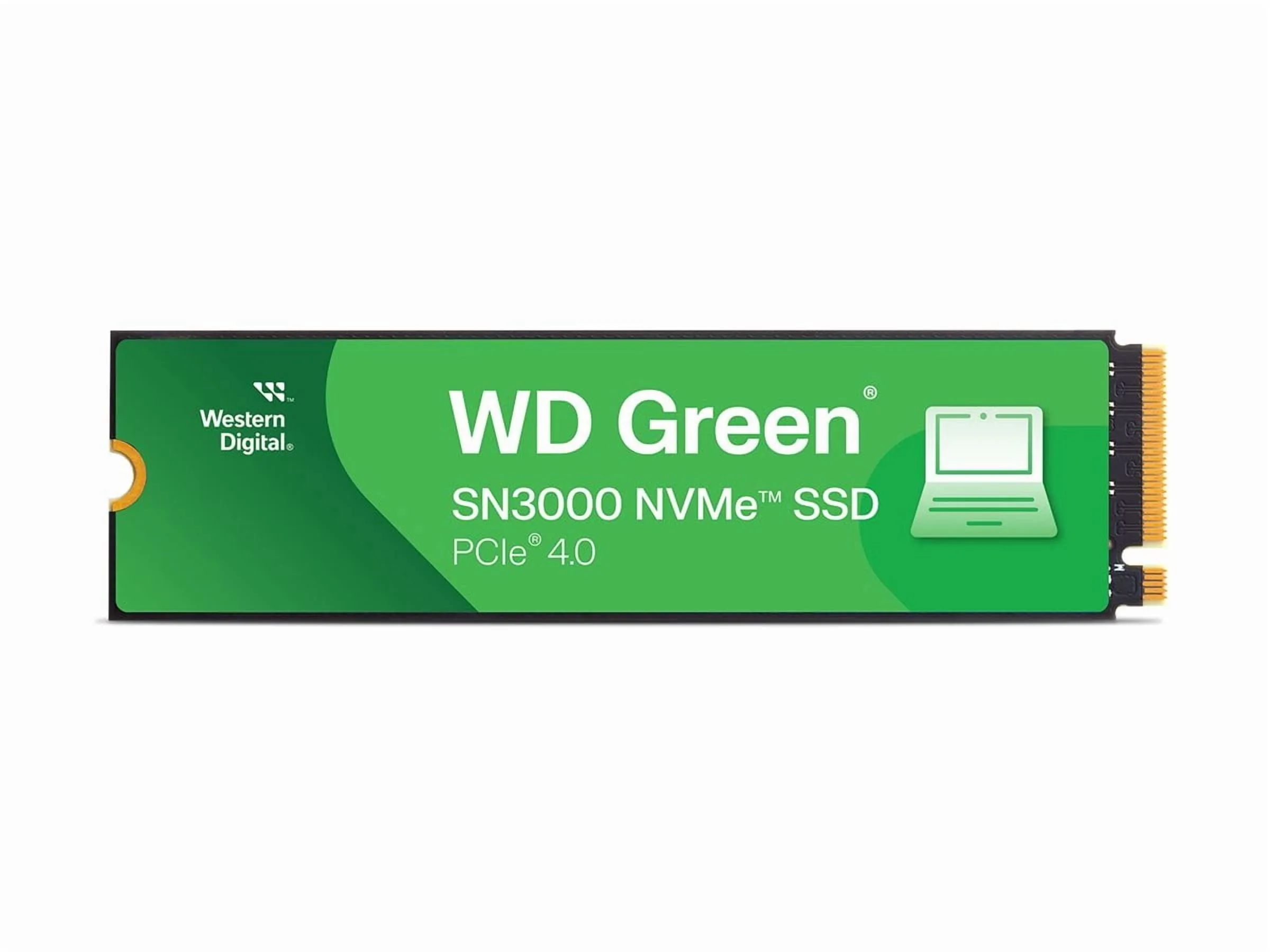 Western Digital-WDS100T4G0E