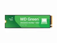 Western Digital-WDS100T4G0E