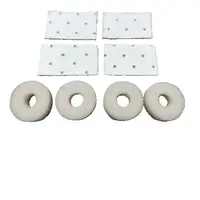 NEPTUNIAN SKY LLC-FM-2024