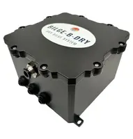 NEPTUNIAN SKY LLC-BBD-2025-123