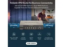 D-Link-DSR-250V2