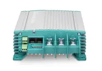 NAVICO GROUP AMERICAS LLC-81205305