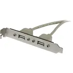 STARTECH USBPLATE