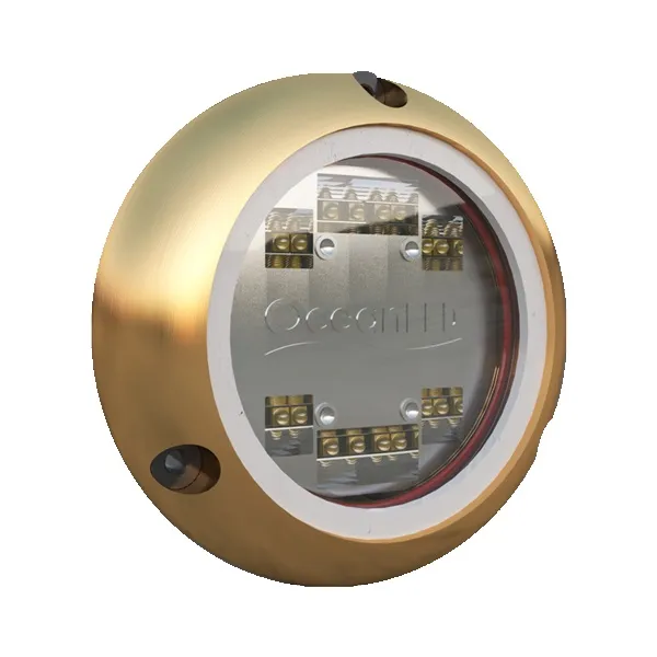 OCEAN LED USA LLC-012101B