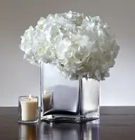 RUSTOLEUM CORPORATION-RST 301494