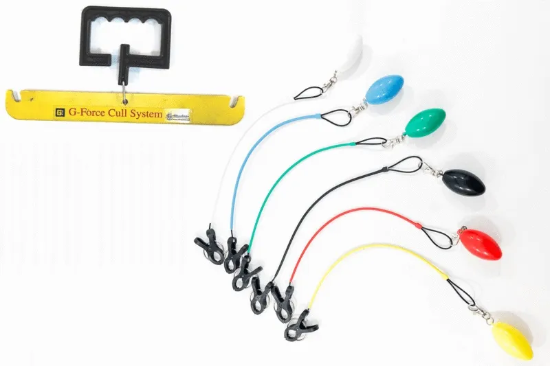 TH Marine Supplies LLC Huntsville-GFCCCSG2DP