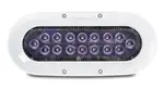 OCEAN LED USA LLC 012311C