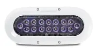 OCEAN LED USA LLC-012311C