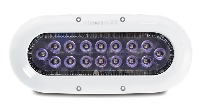 OCEAN LED USA LLC-012308W