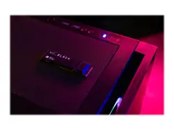 Western Digital-WDS500G1XHE-00AFY0