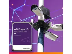 Western Digital-WD101PURP-20PK