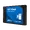 WDS250G3B0A-00AXR0