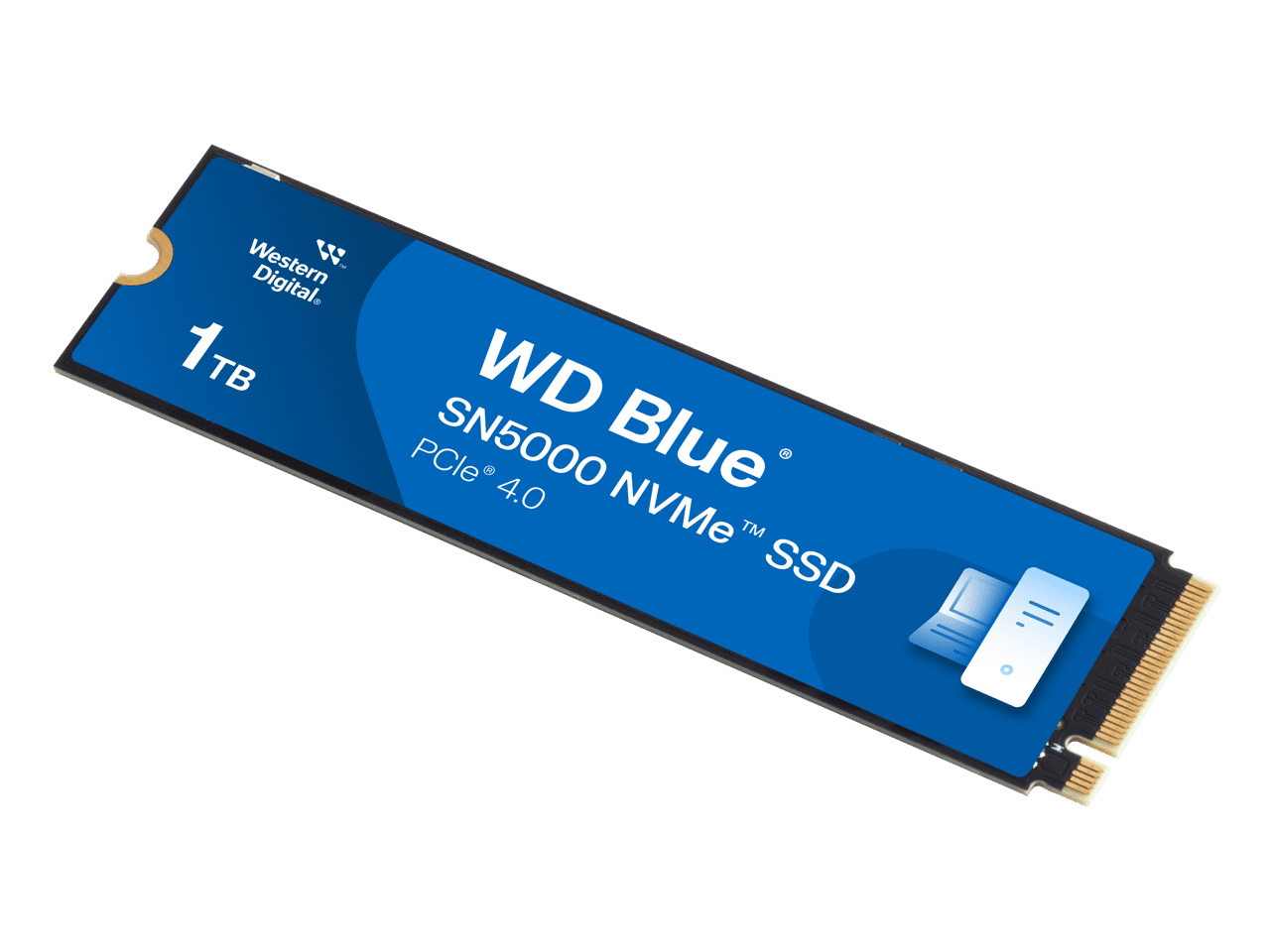 Western Digital-WDS100T4B0E00CNZ0