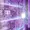 WD221PURP-20PK