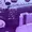 WD221PURP-20PK