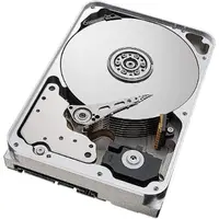 SEAGATE-ST12000NM0248