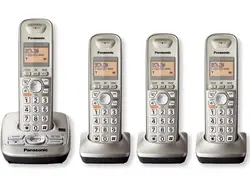 PANASONIC-PANKXTG4224N