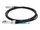PAN-SFP-PLUS-CU-2M-AO