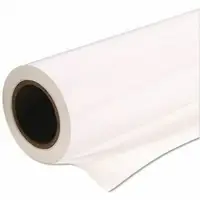 EPSON-S450234