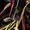N10MM-CABLE-TIE-GUN