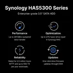 Synology HAS5310-12T