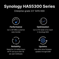 Synology-HAS5310-12T