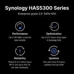 Synology-HAS5310-12T