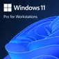 Microsoft-HZV-00102