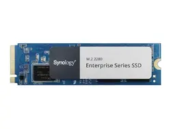Synology-SNV5420-400G
