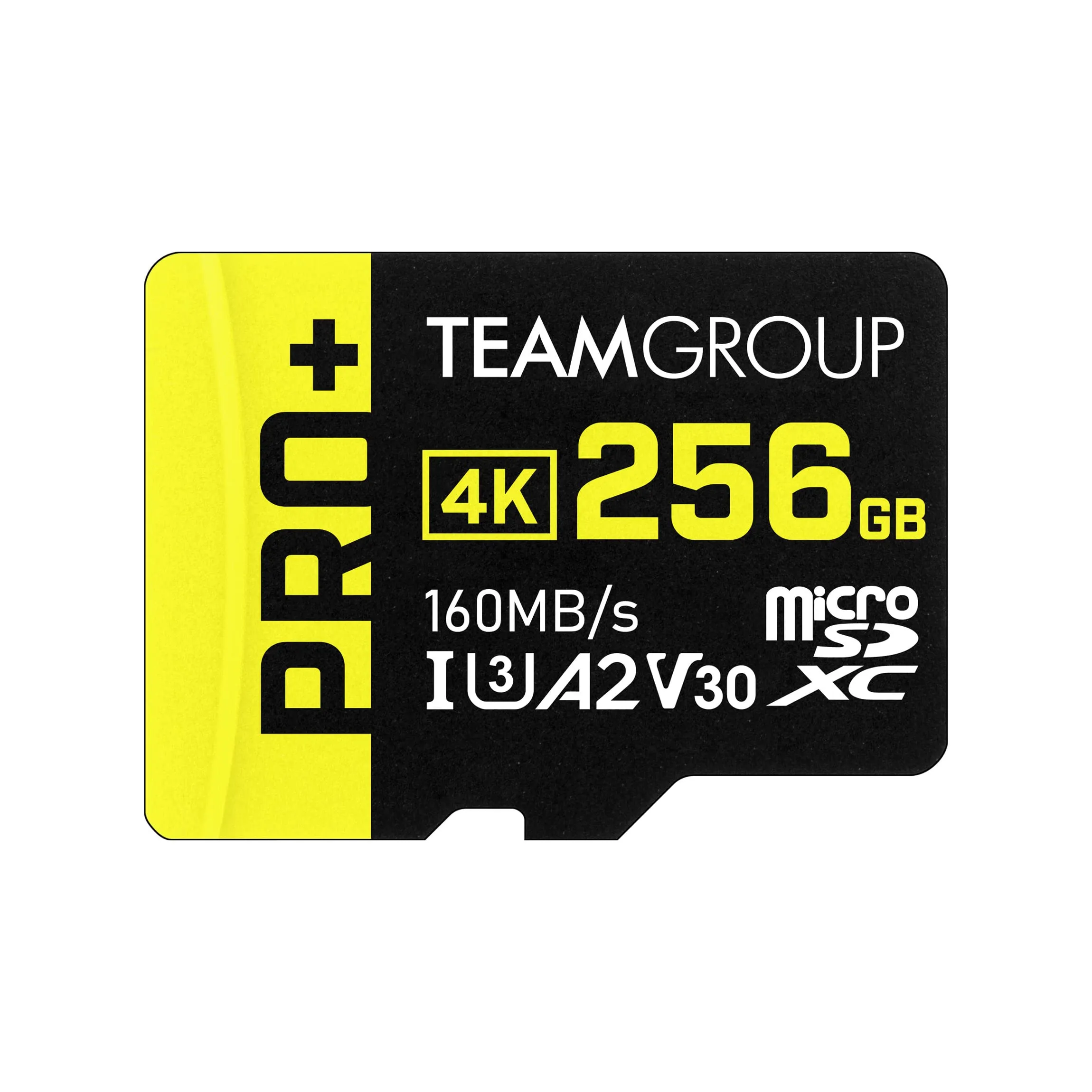 Egan Teamboard-TPPMSDX256GIA2V3003