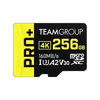 Egan Teamboard TPPMSDX256GIA2V3003