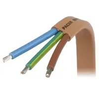 Pacer Group-W6/3EURO-100