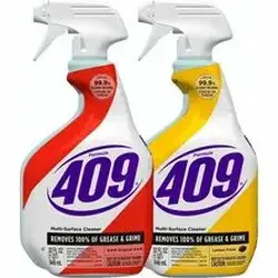 CLOROX-CLO 30954