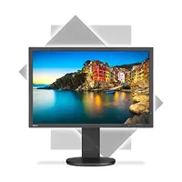 NEC-P243W-BK