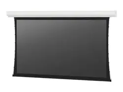 Da-Lite-29671LS