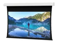 Da-Lite-29665LS