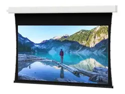 Da-Lite-29665LS