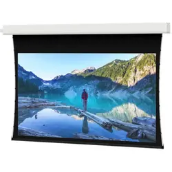 Da-Lite-21796LS