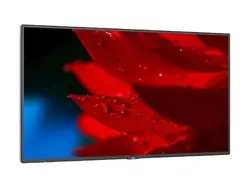 NEC-MA431