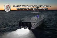 Lumishore-010-04351-00