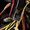 N10MM-CABLE-TIE-GUN