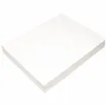 EPSON S450433