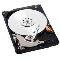 Western Digital-WD3200BPVT