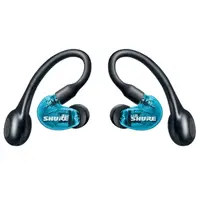Shure-SE21DYBK+TW2
